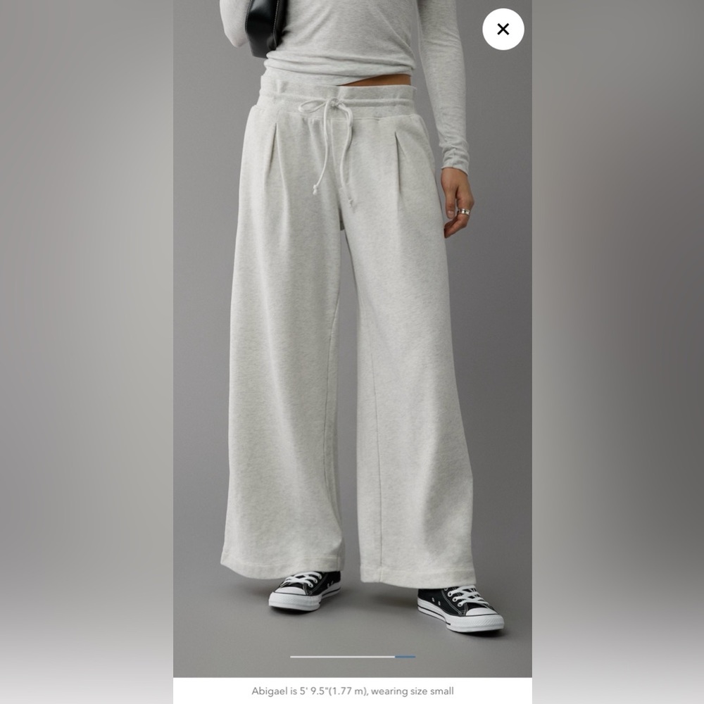 American Eagle - Fleece Wide-Leg Sweatpant Trouser - Small (Med ok) - SOLD OUT - Picture 6 of 7